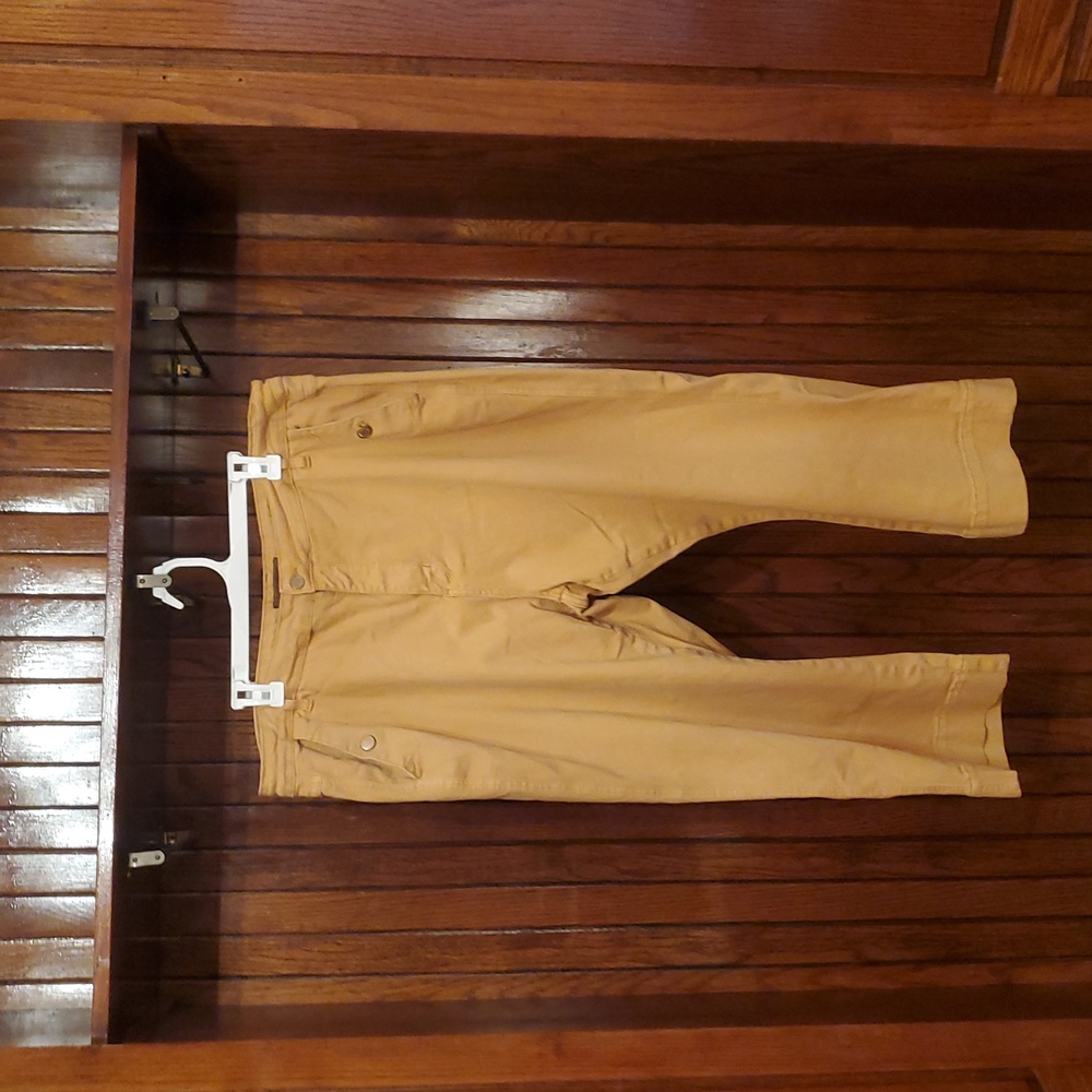JUDY BLUE SIZE 24W Women's Tan Pants